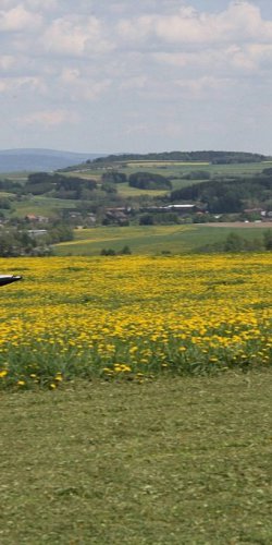 2012 Svojek mirek sobota